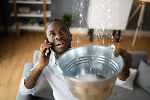 Best Sewage cleanup and water damage restoration  in Orange Grove, TX