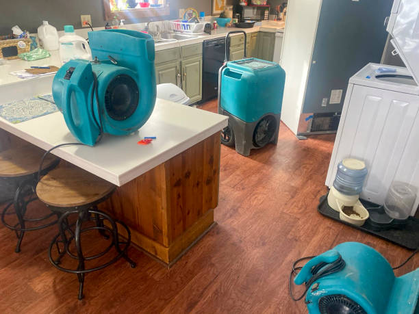 Best Water damage contractors near me  in Orange Grove, TX