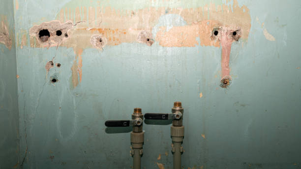 Best Water damage cleanup near me  in Orange Grove, TX