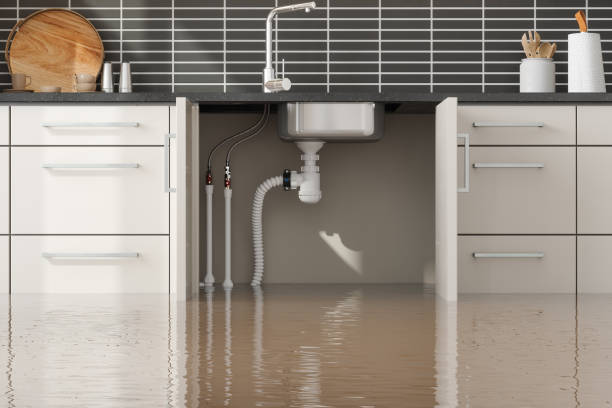Best 24-hour water damage restoration  in Orange Grove, TX
